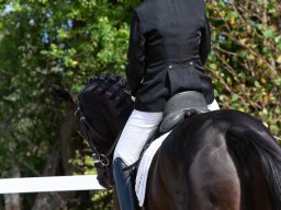 IMG_8002_web
